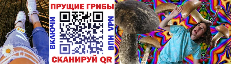 Галлюциногенные грибы мухоморы  Анжеро-Судженск 
