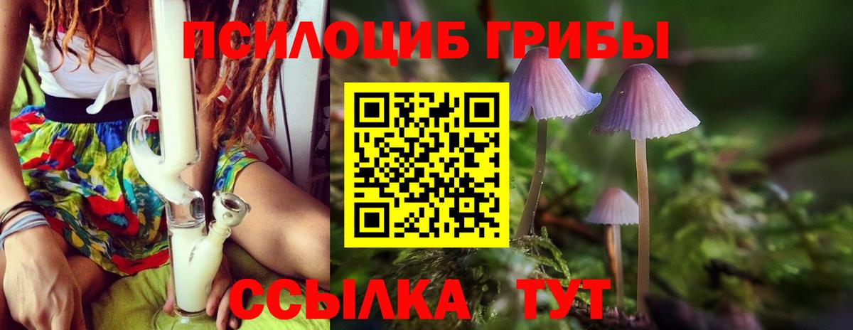 Галлюциногенные грибы Psilocybine cubensis  Вход с VPN  Анжеро-Судженск 